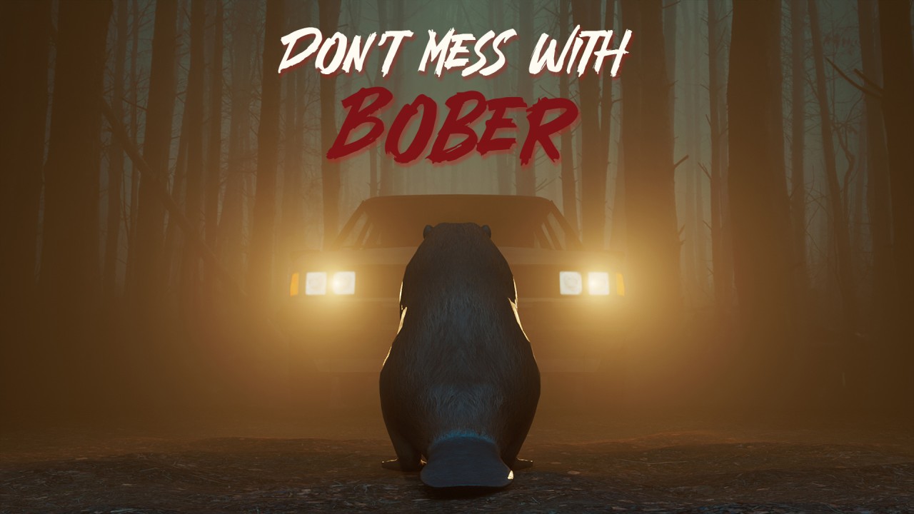 Don't Mess With Bober