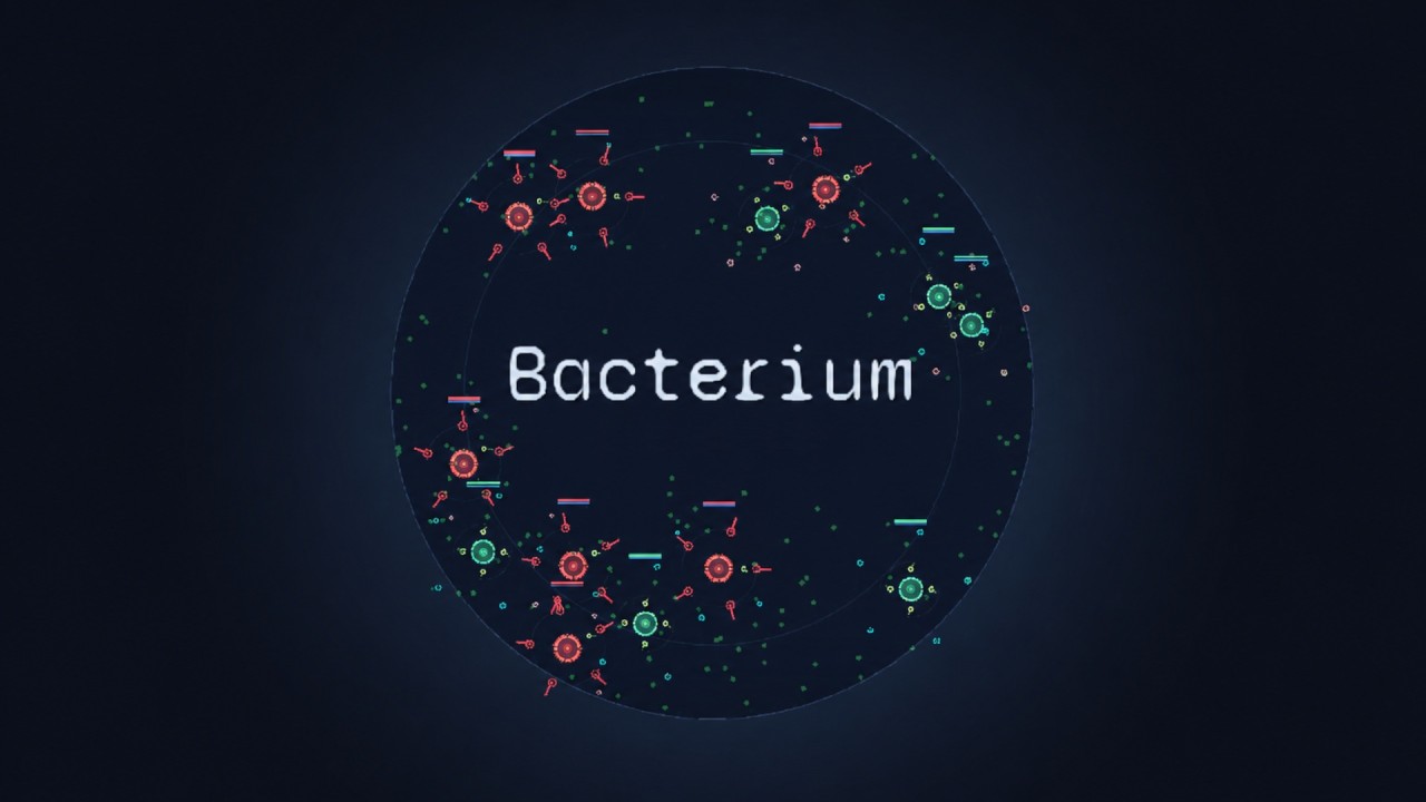 Bacterium